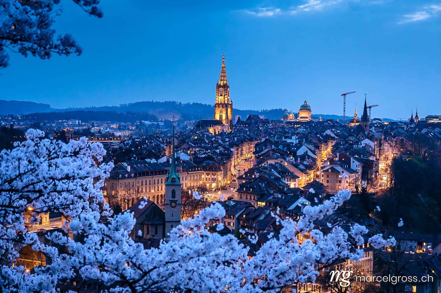 Bern Bilder. view from Rosengarten over the historic center of Bern during cherry blossom in spring. Marcel Gross Photography