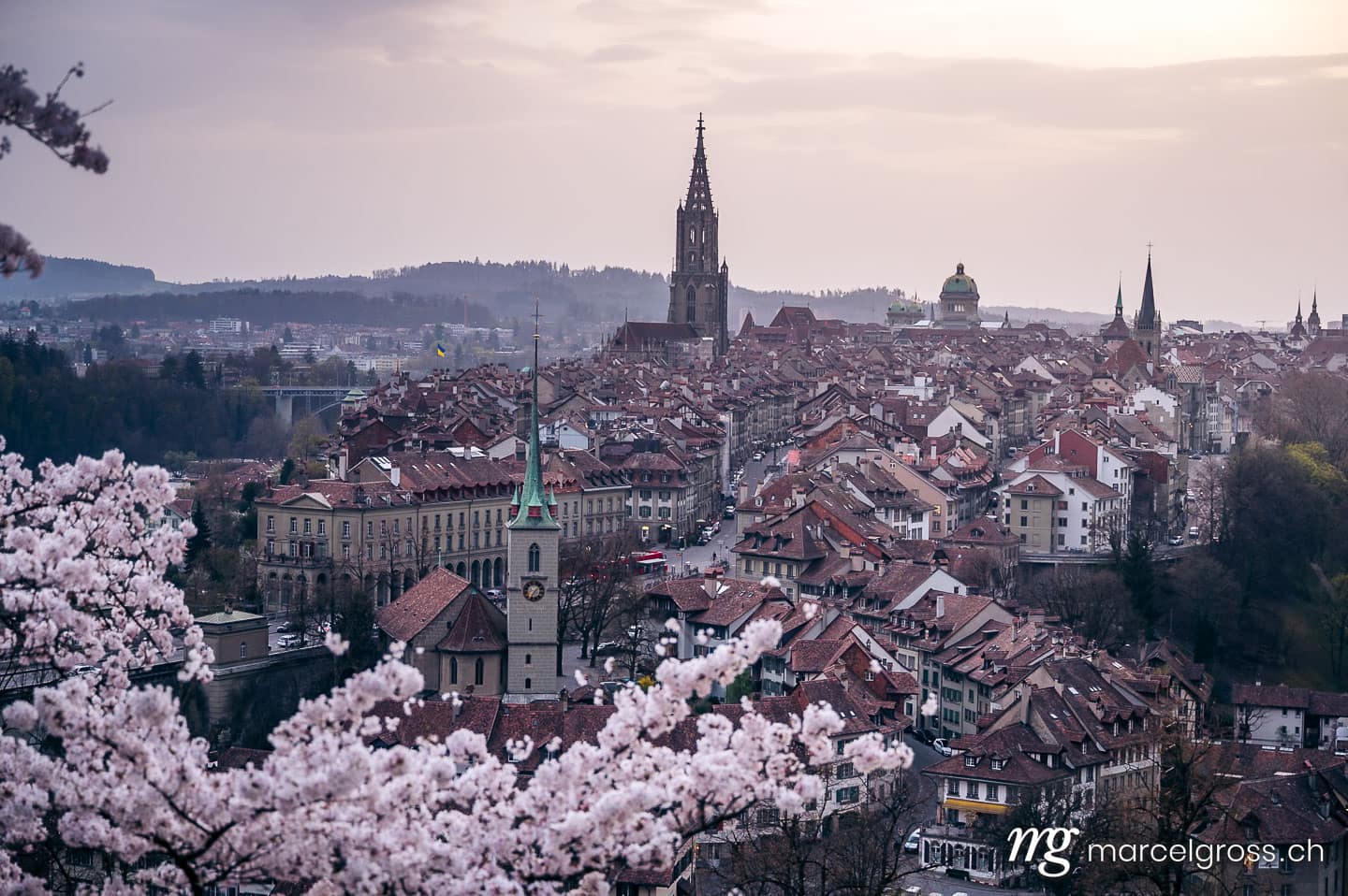 Bern Bilder. historic olttown of Bern during scenic cherry blossom in Rosengarten. Marcel Gross Photography