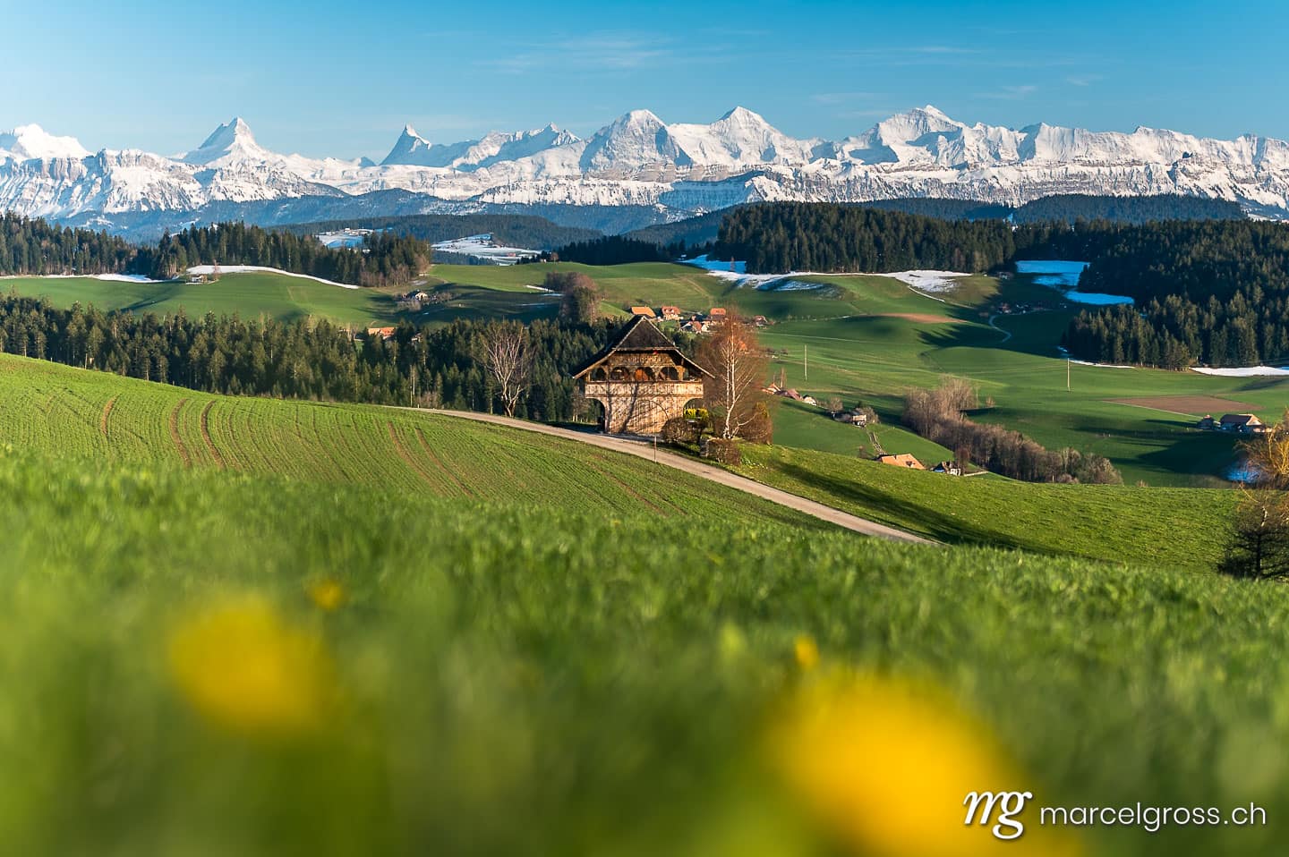Emmental Bilder. spring in Emmental with the mighty snowcovered Bernese Alps. Marcel Gross Photography