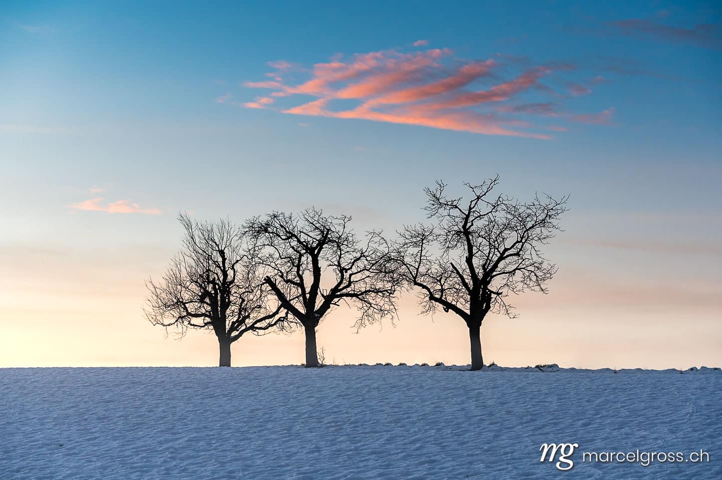 Winter picture Switzerland. Silhouettes of three trees in winter at sunset. Marcel Gross Photography