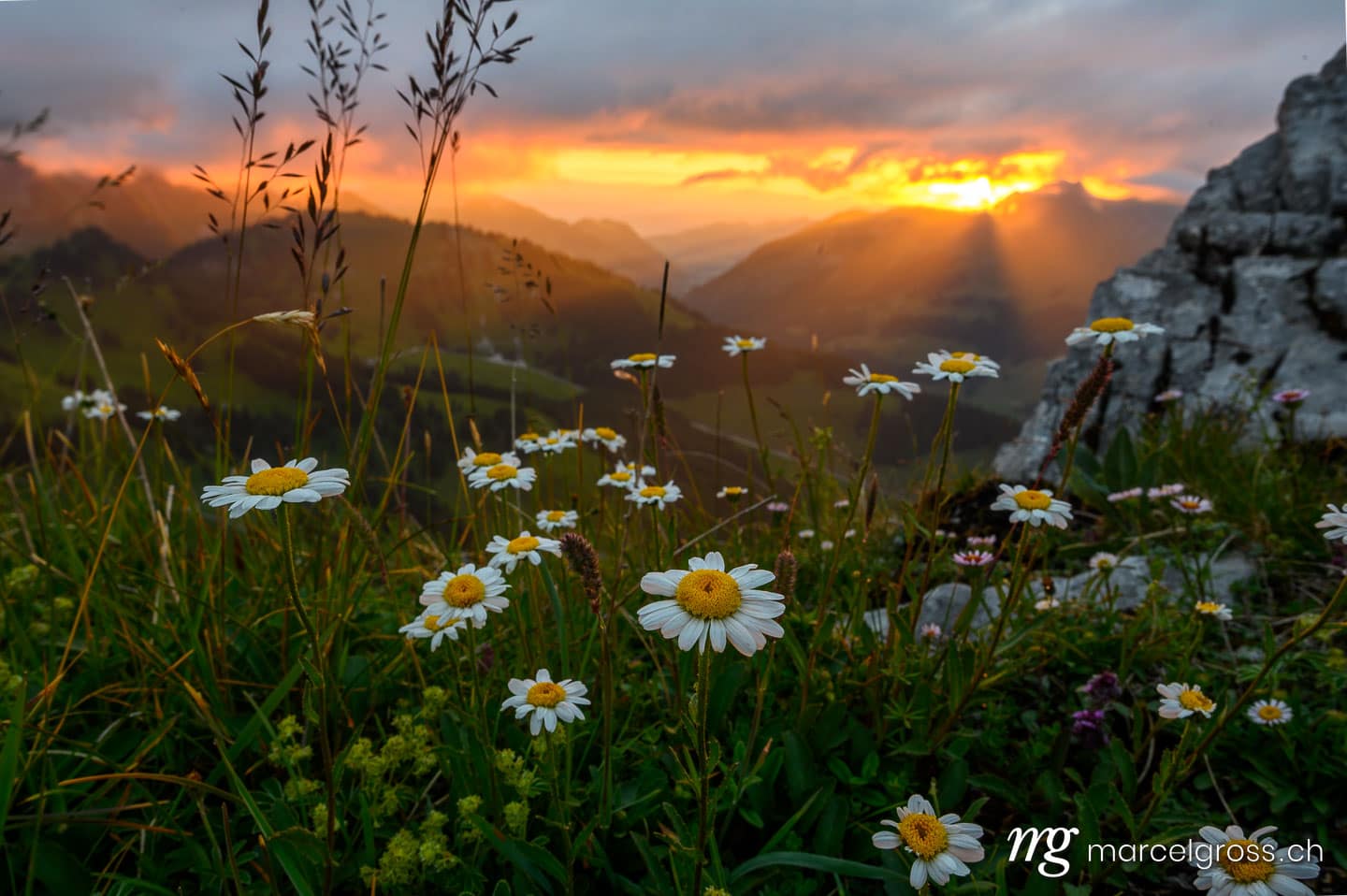Sommerbilder Schweiz. . Marcel Gross Photography