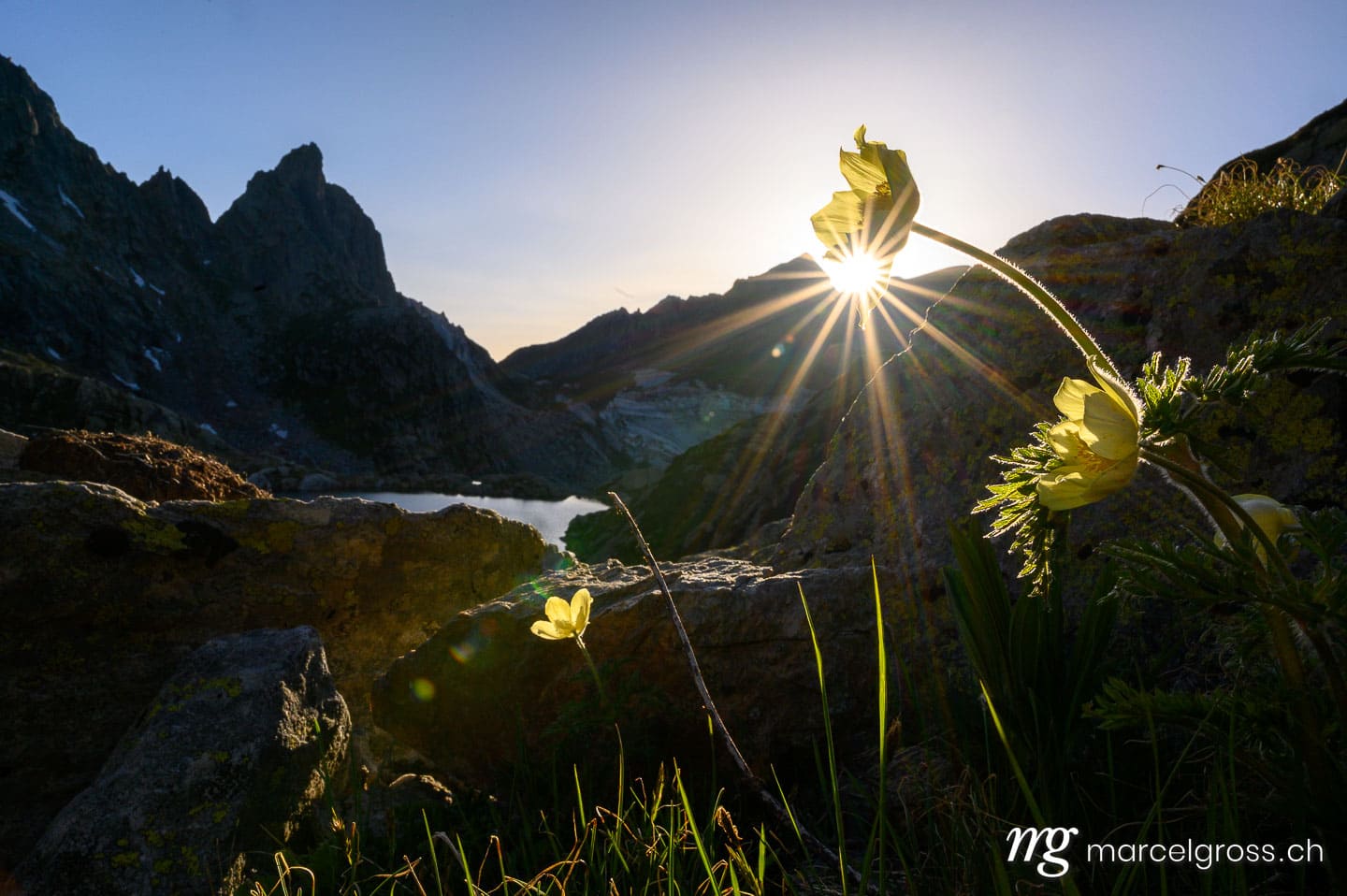 . . Marcel Gross Photography