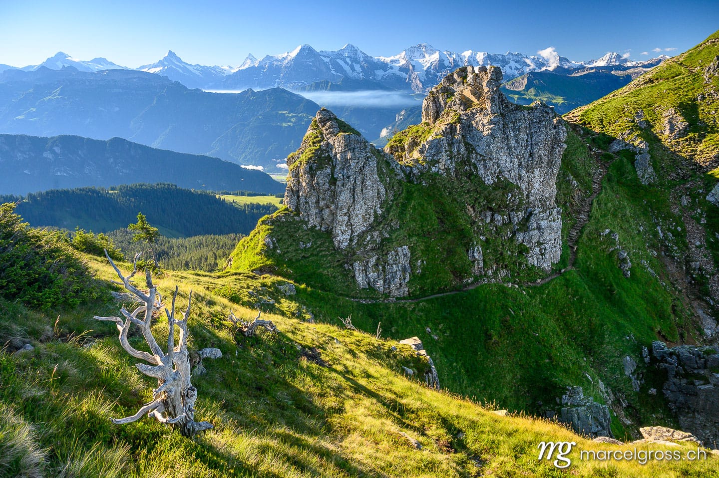 . . Marcel Gross Photography