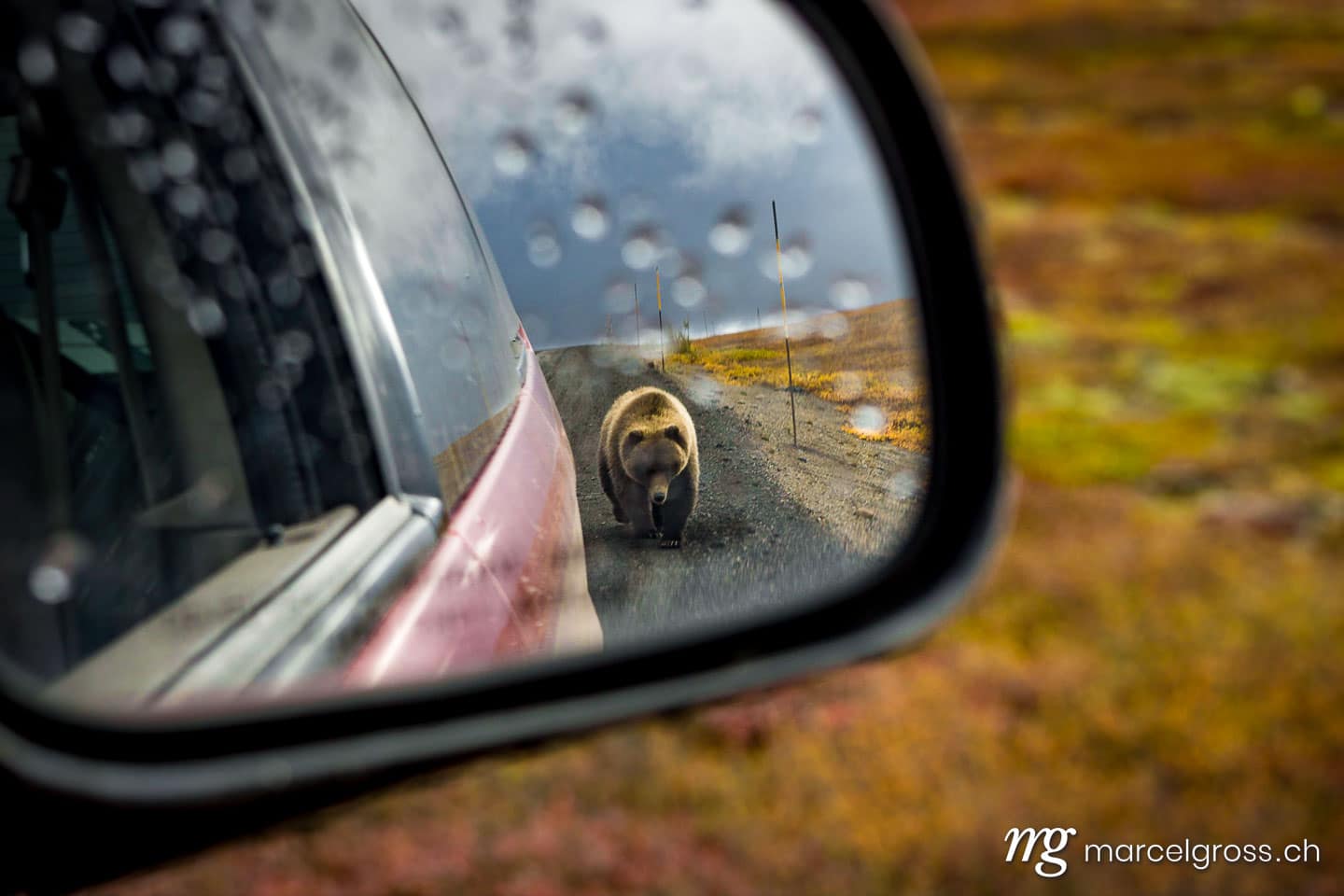 . approaching. Marcel Gross Photography