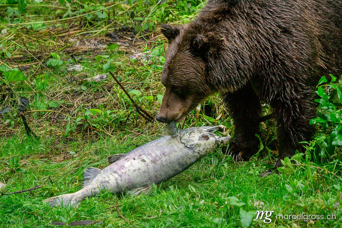 . big catch. Marcel Gross Photography