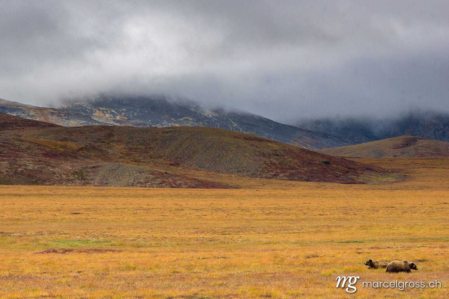 . giants are just dots. Marcel Gross Photography