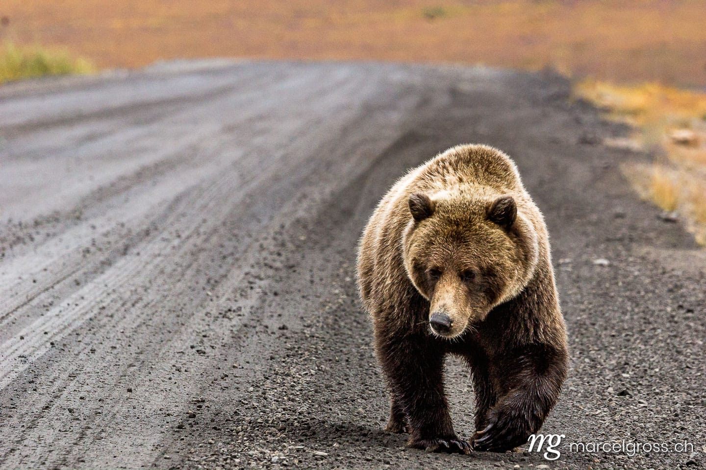 . here i come. Marcel Gross Photography