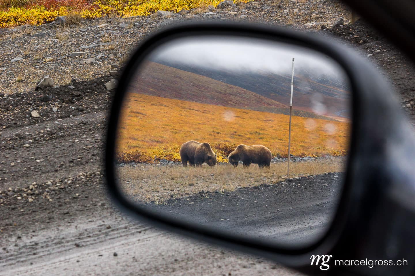 . look into the mirror. Marcel Gross Photography