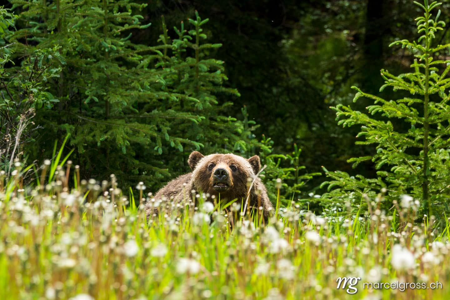 . mom is watching. Marcel Gross Photography