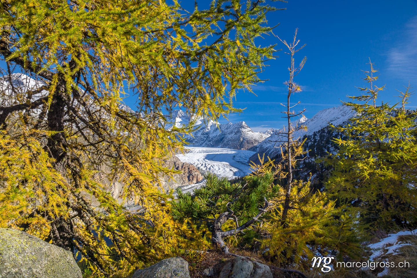 . Aletsch Glacier in Autumn. Marcel Gross Photography