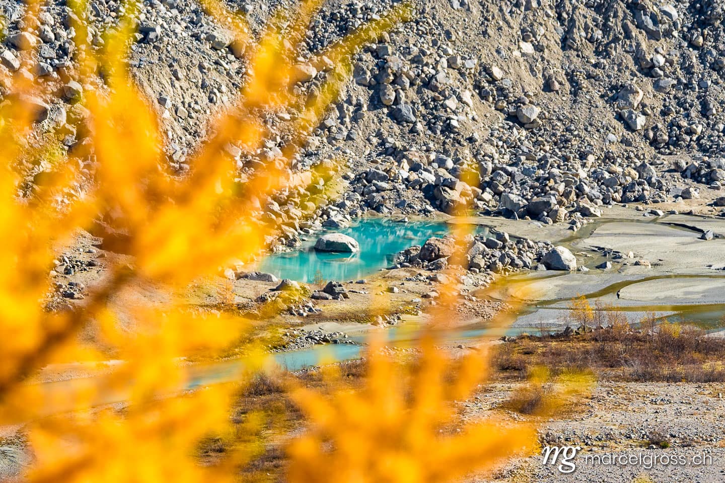 . glacial lake trough branches of a yellow larch. Marcel Gross Photography