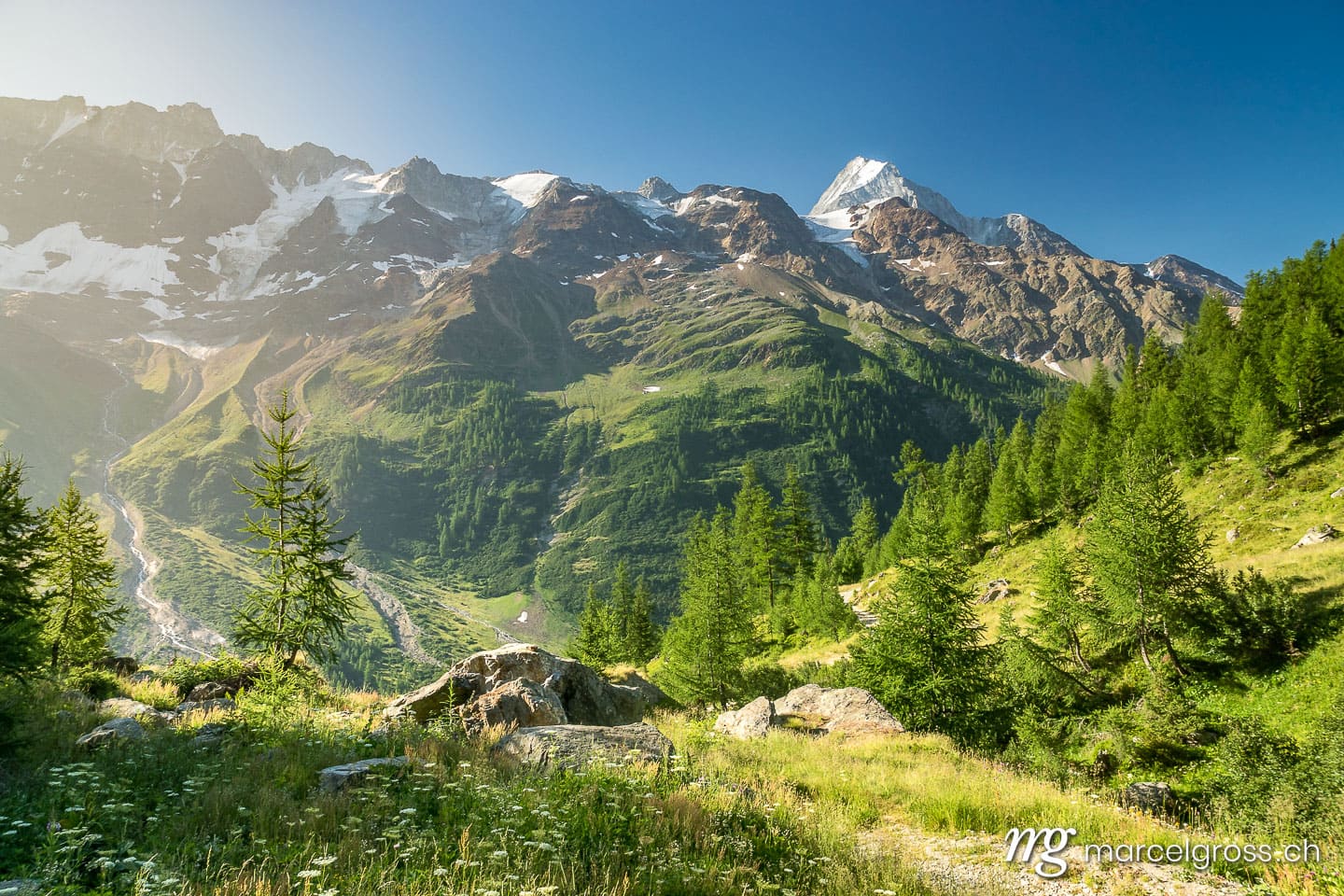 . a summer morning. Marcel Gross Photography