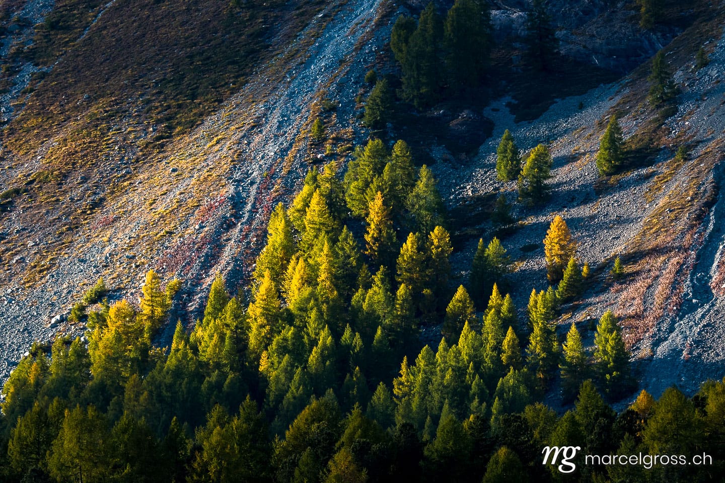 Herbstbild Schweiz. evening light at Lake Sils in Engadine. Marcel Gross Photography