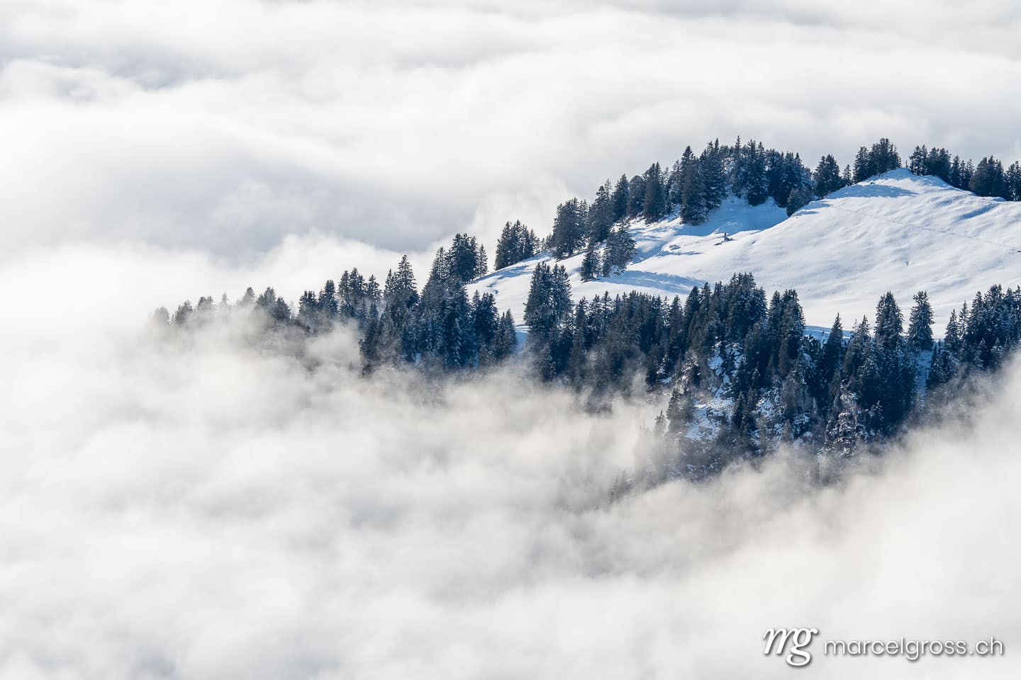 . island of winter forest in a sea of fog. Marcel Gross Photography