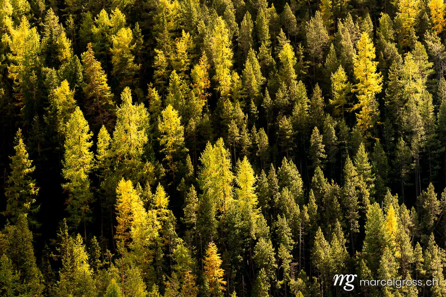 . signs of fall. Marcel Gross Photography