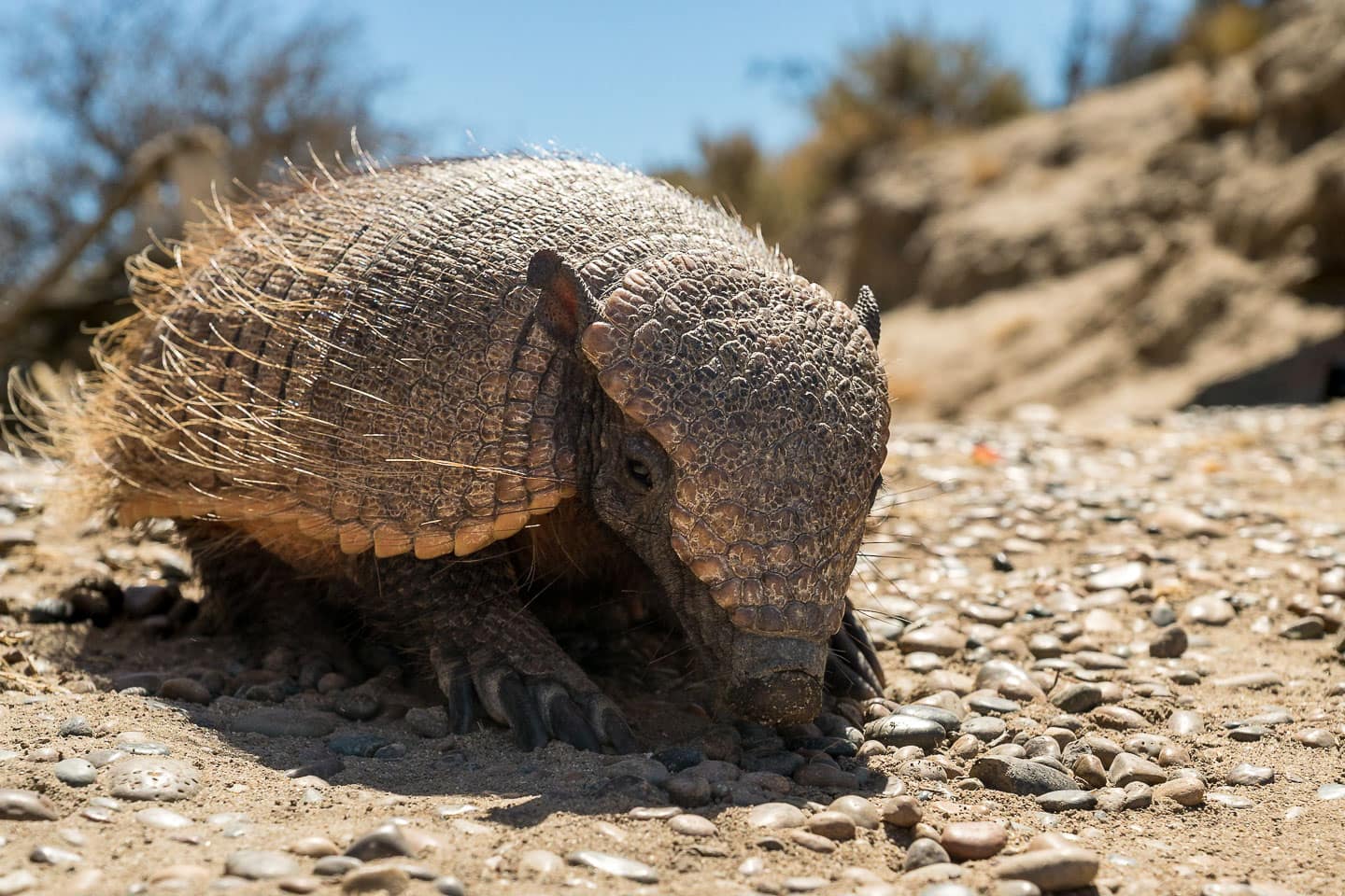 a digging machine. Taken by Marcel Gross Photography