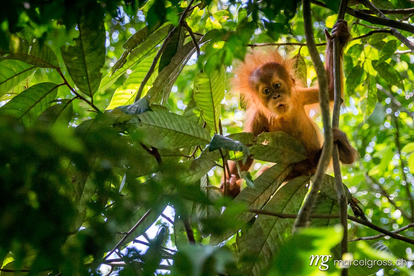 . i see you. Marcel Gross Photography
