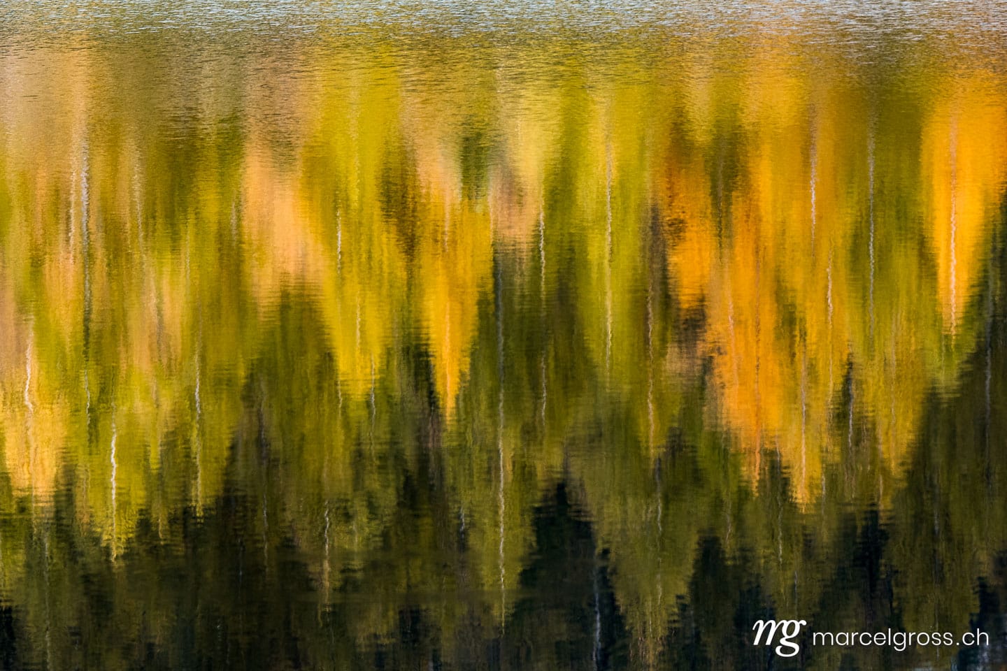 Herbstbild Schweiz. yellow larches reflection in mountain lake. Marcel Gross Photography