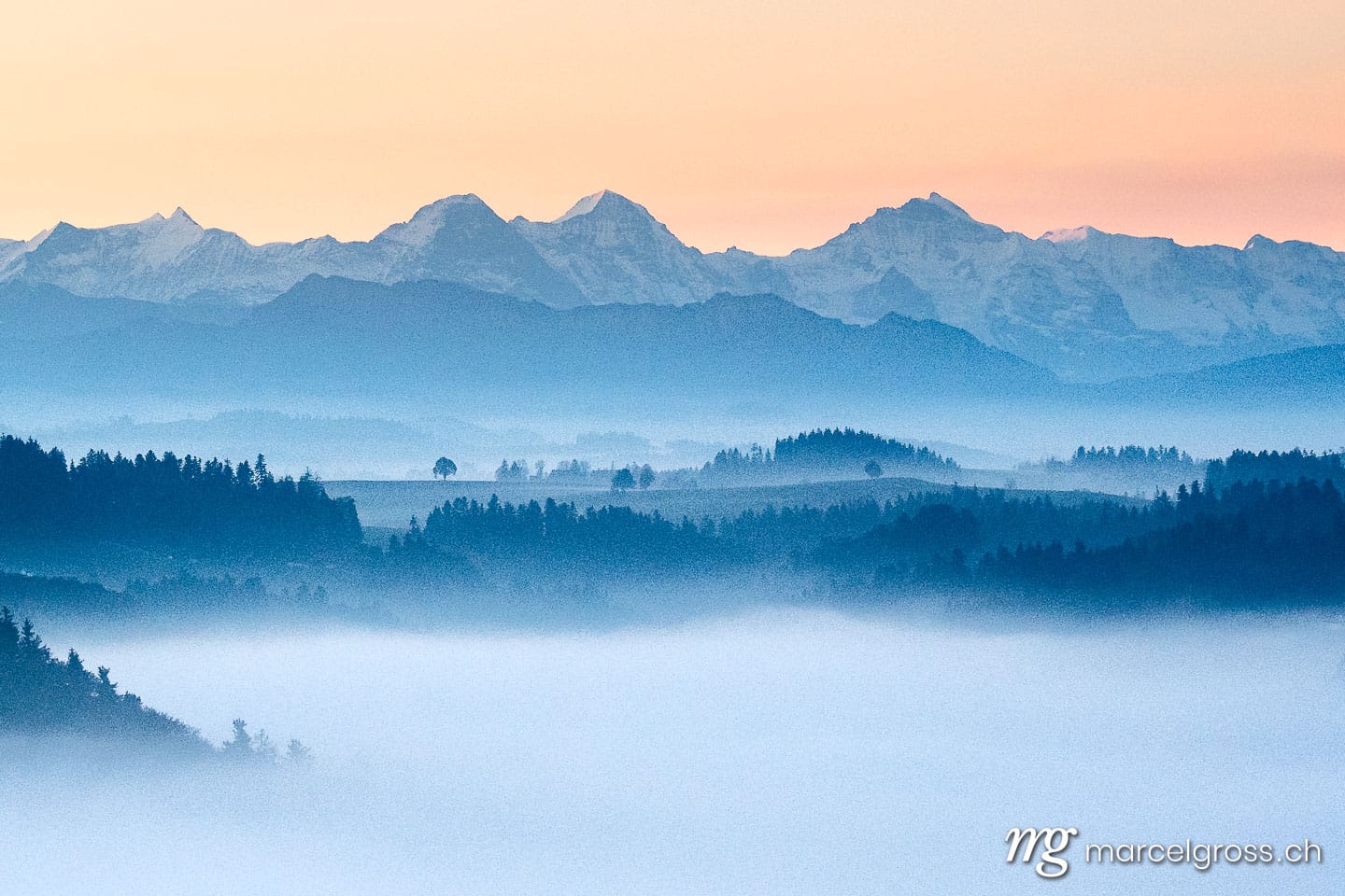 . . Marcel Gross Photography