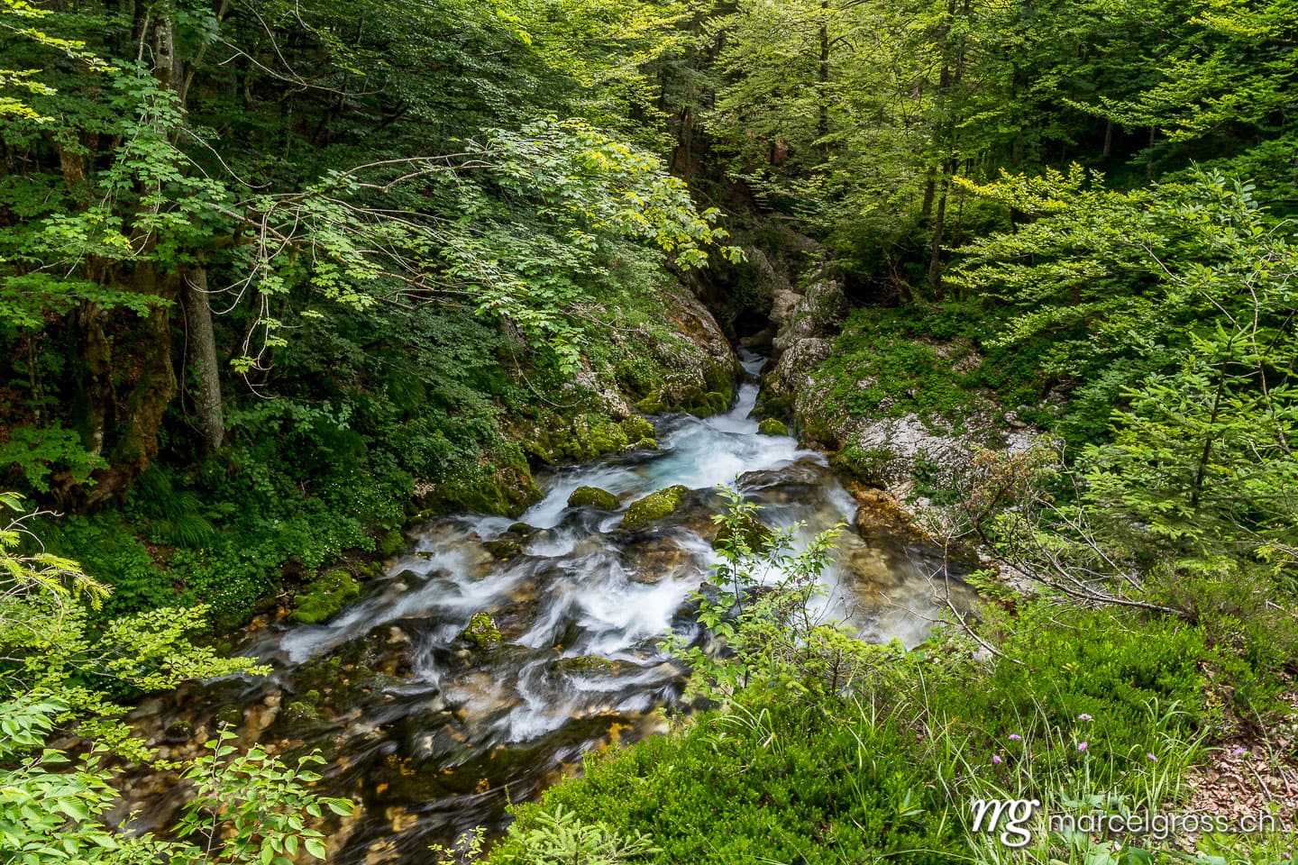 slovenia pictures. River in Mostnica Gorge in Voje Valley. Marcel Gross Photography