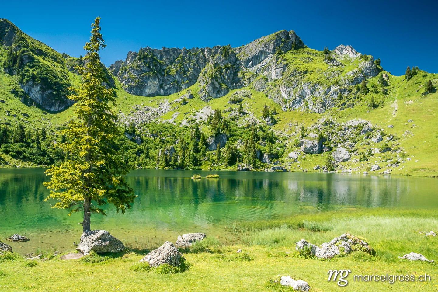 Sommerbild Schweiz. beautiful summer day at Seebergsee in Diemtigtal. Marcel Gross Photography