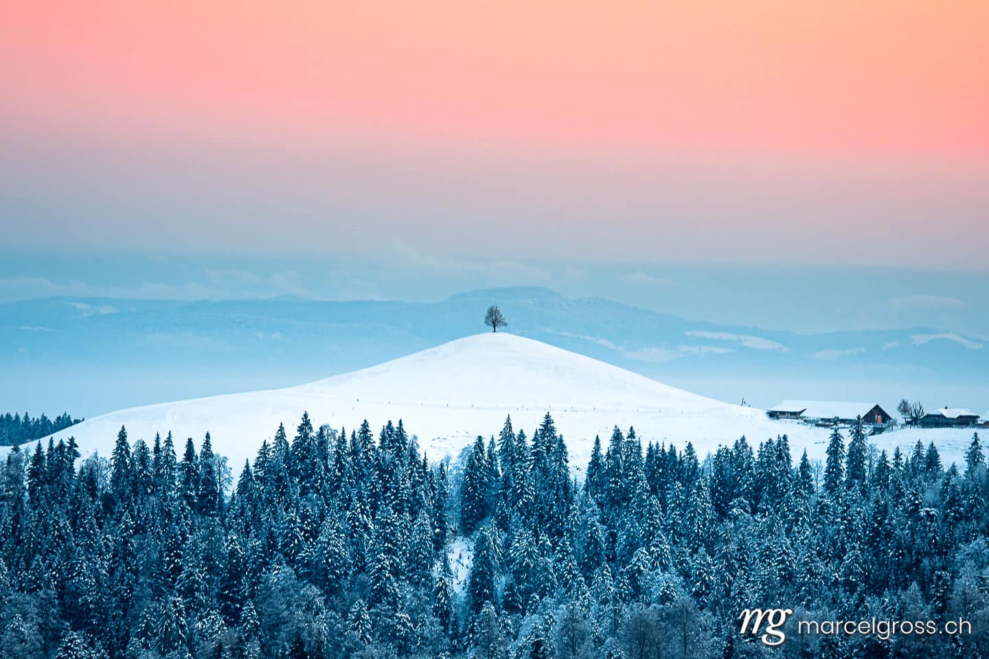 Winter picture Switzerland. beautiful winter sunrise in snowy Emmental with a single tree on a hill. Marcel Gross Photography