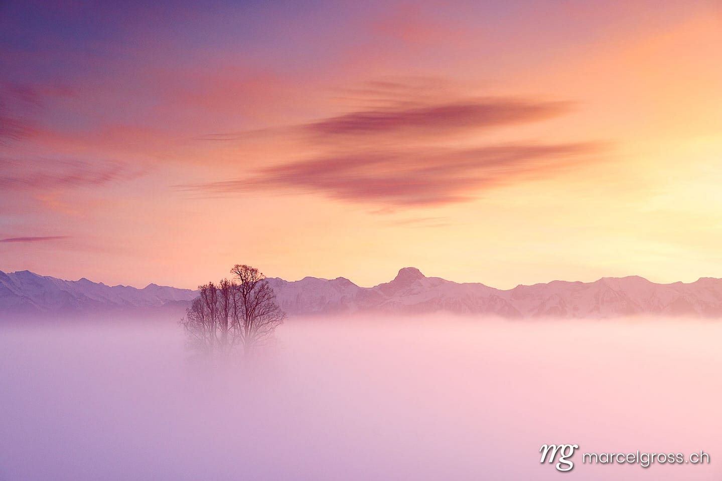 Emmental Bilder. tilia tree standing in mist with Stockhorn ridge in the background during a colorful sunset. Marcel Gross Photography