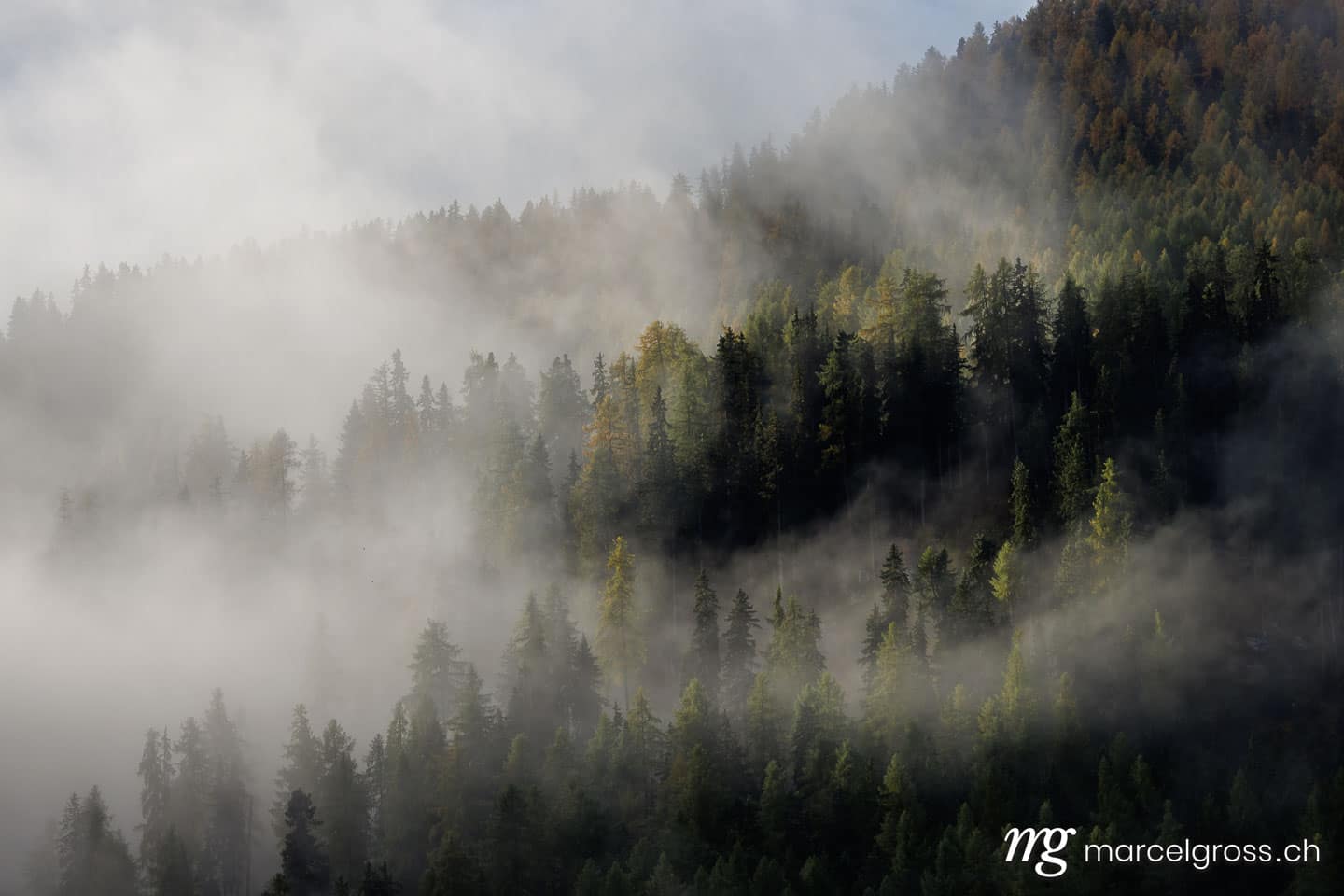 Engadin Bilder. autumn fog in the Engadin forest. Marcel Gross Photography