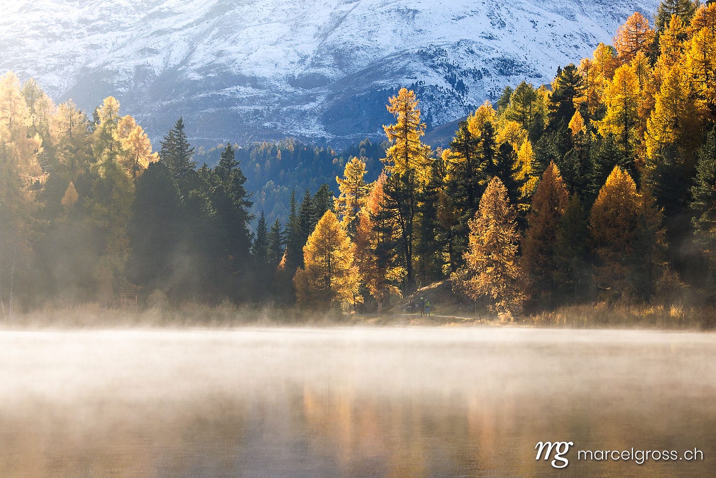 Autumn picture Switzerland. autumn mood at Lake Sils. Marcel Gross Photography