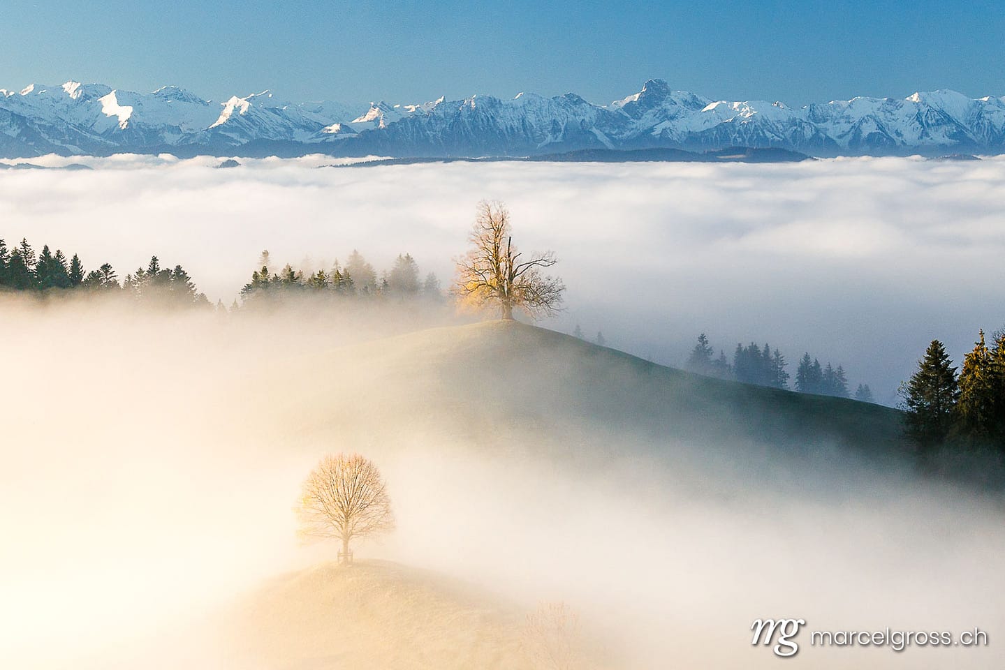 Herbstbild Schweiz. Emmentaler Hügel mi Bäumen und Berner Alpen. Marcel Gross Photography