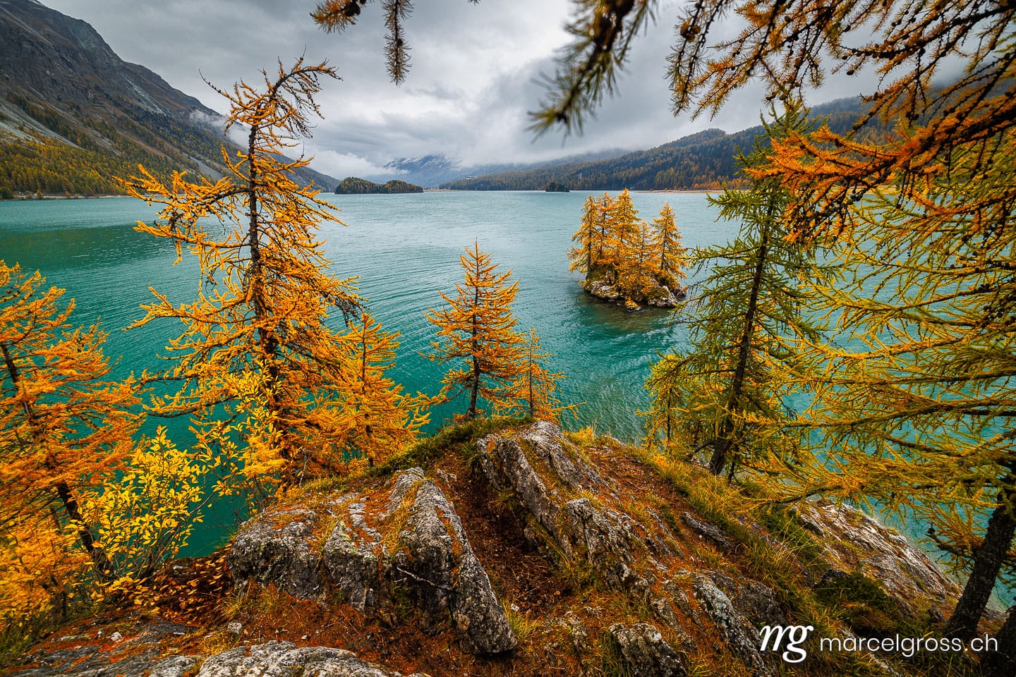 Herbstbild Schweiz. autumn mood a Lake Sils. Marcel Gross Photography