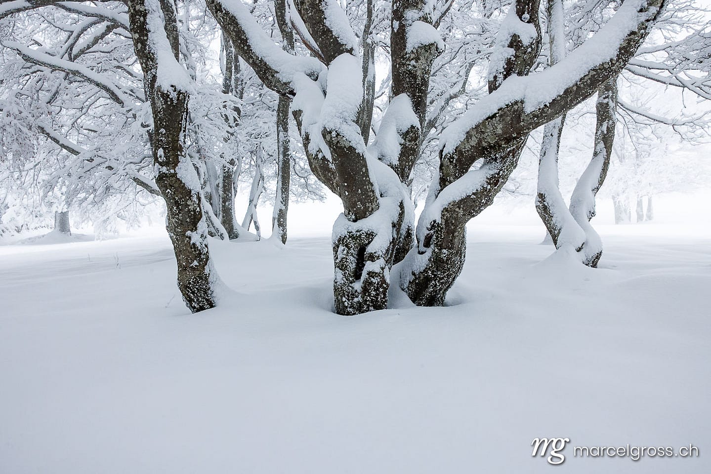 Winterbild Schweiz. . Marcel Gross Photography