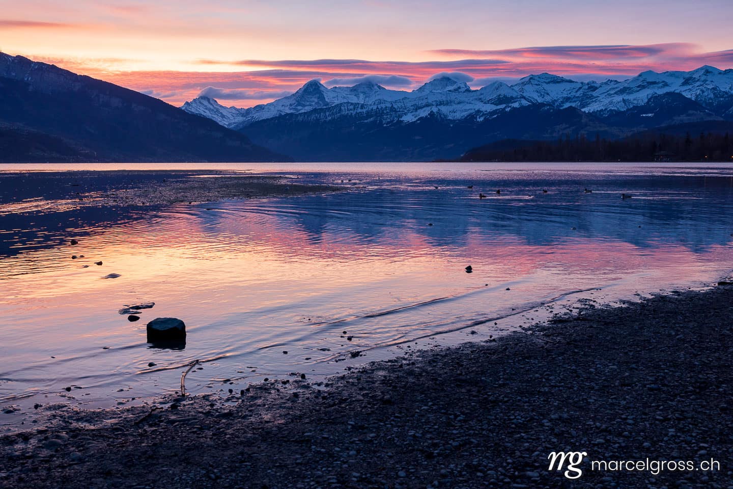 Berner Oberland Bilder. Sonnenaufgang am Thunersee mit Eiger Mönch und Jungfrau. Marcel Gross Photography