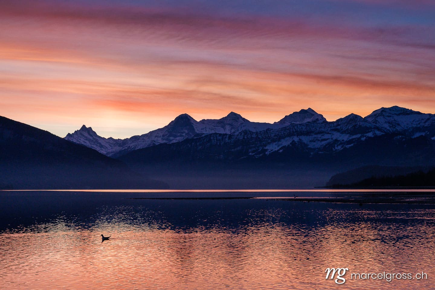 Thunersee Bilder. Sonnenaufgang am Thunersee mit Eiger Mönch und Jungfrau. Marcel Gross Photography