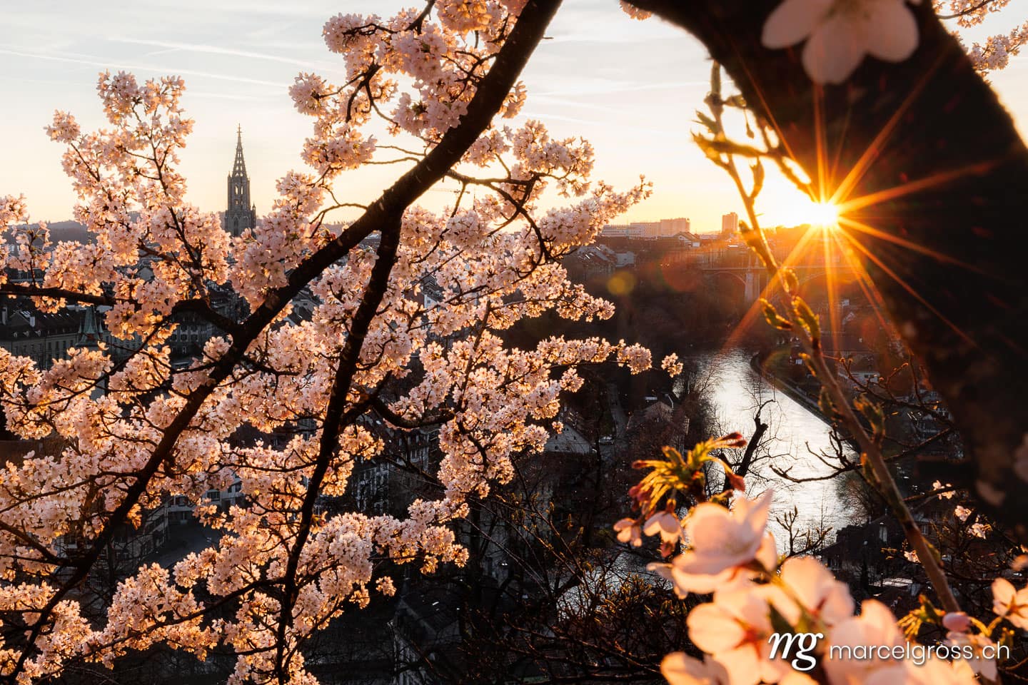Bern Frühling. Sonnenuntergang während Kirschblüte in Bern. Marcel Gross Photography