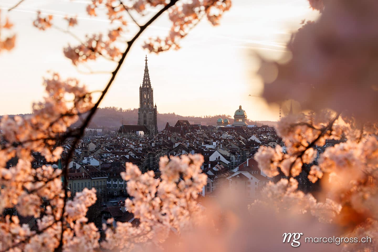 Bern Frühling. Sonnenuntergang während Kirschblüte in Bern. Marcel Gross Photography