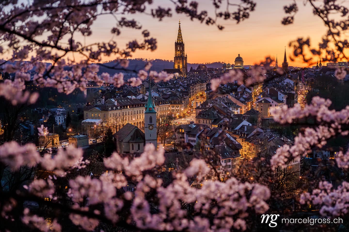 . Sonnenuntergang während Kirschblüte in Bern. Marcel Gross Photography