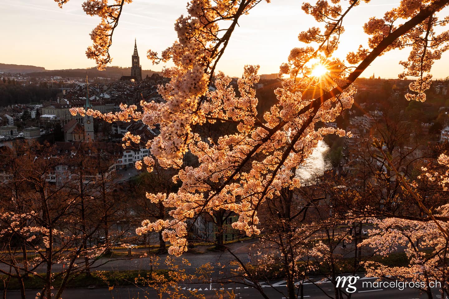 Bern Frühling. Sonnenuntergang während Kirschblüte in Bern. Marcel Gross Photography