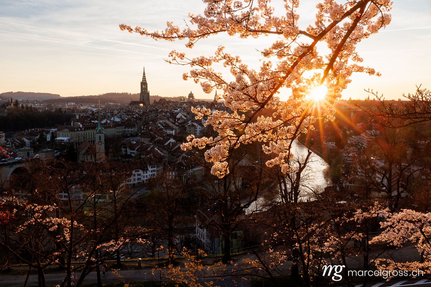 Bern Frühling. Sonnenuntergang während Kirschblüte in Bern. Marcel Gross Photography