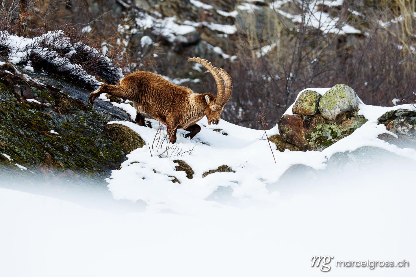 . . Marcel Gross Photography