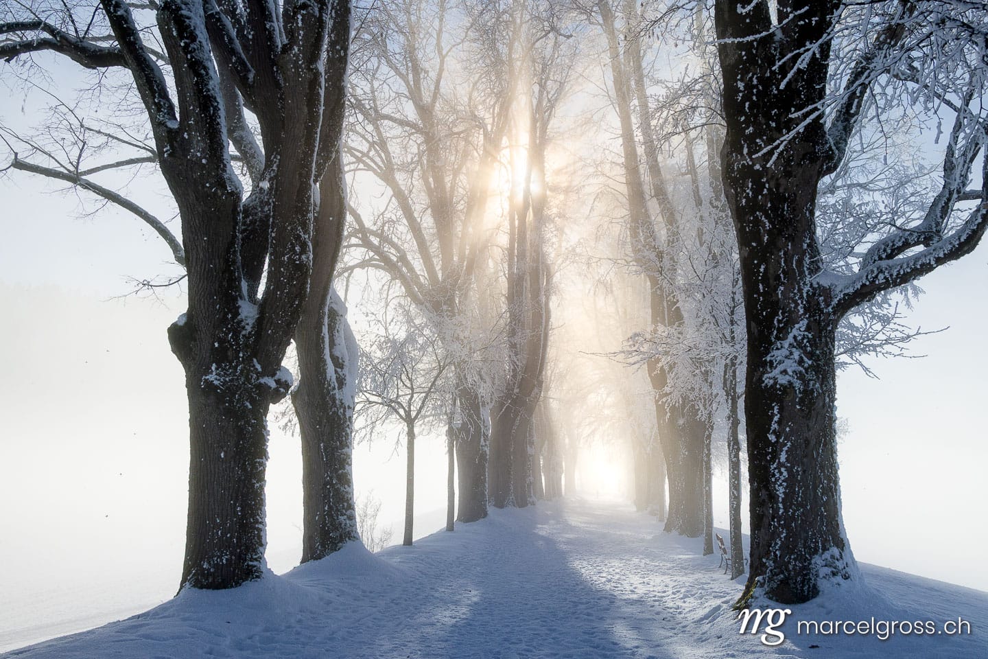 Winter in Switzerland. Marcel Gross Photography