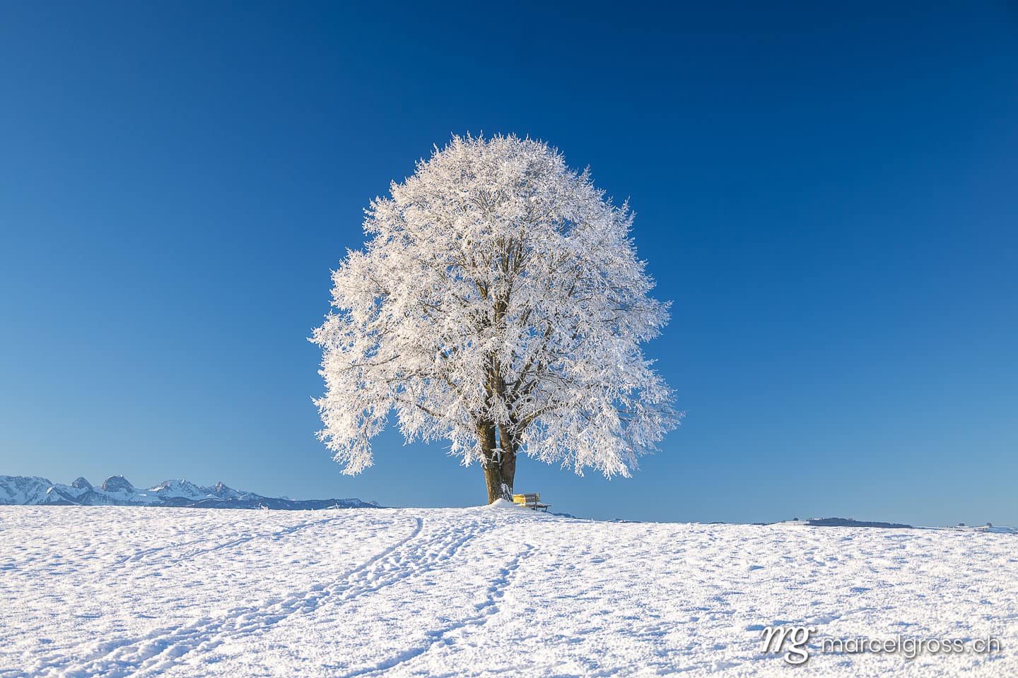 Winter in Switzerland. Marcel Gross Photography