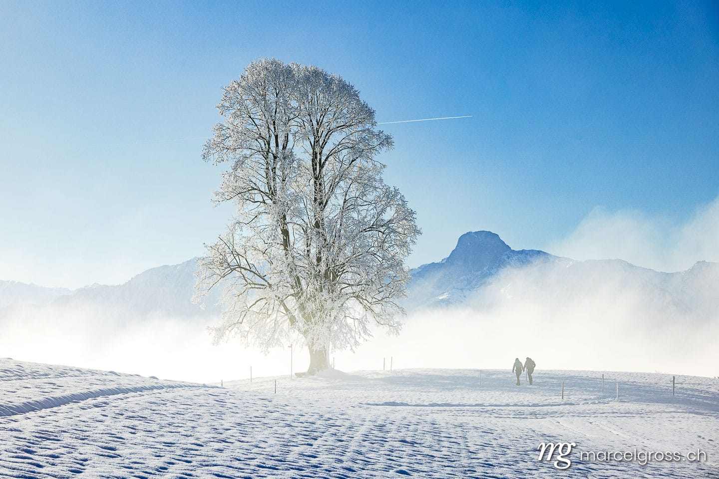 Winter in Switzerland. Marcel Gross Photography