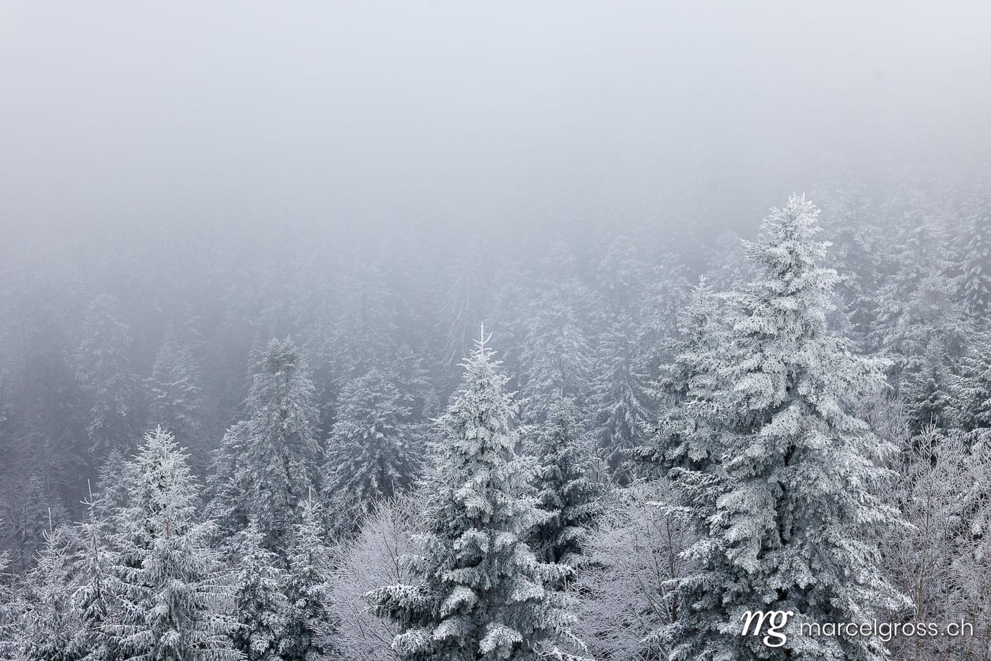 Winter in Switzerland. Marcel Gross Photography