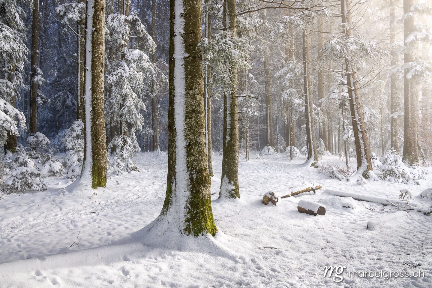 Winter in Switzerland. Marcel Gross Photography