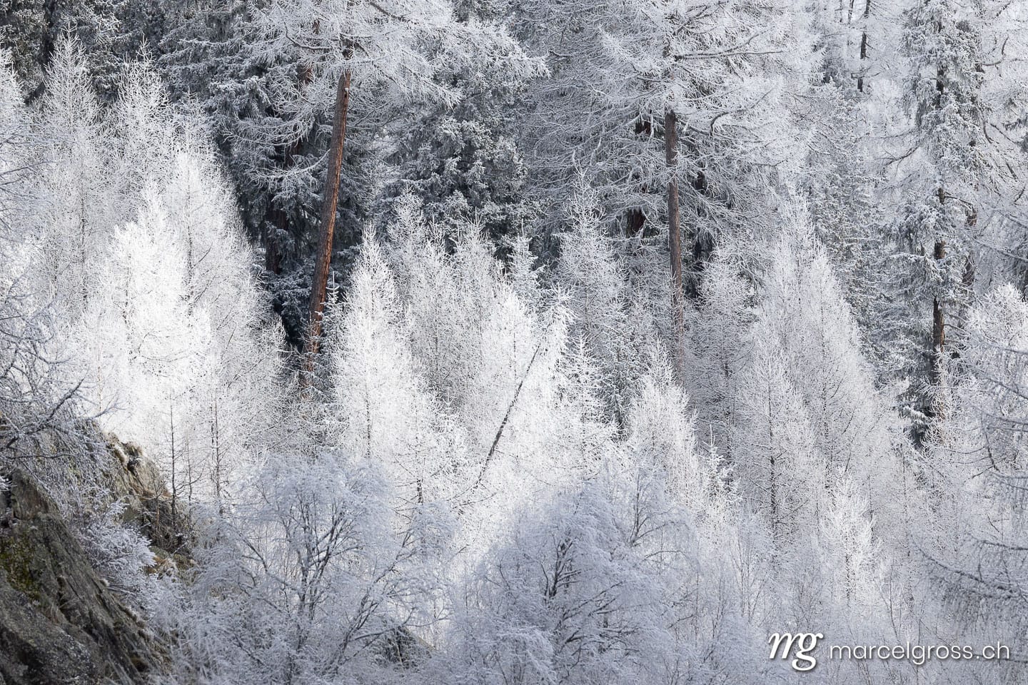 Winter in Switzerland. Marcel Gross Photography