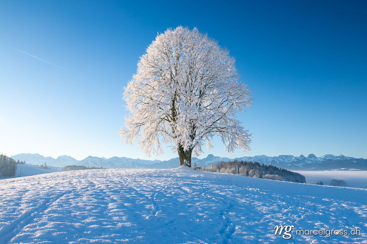 Winter landscape in Switzerland. Marcel Gross Photography