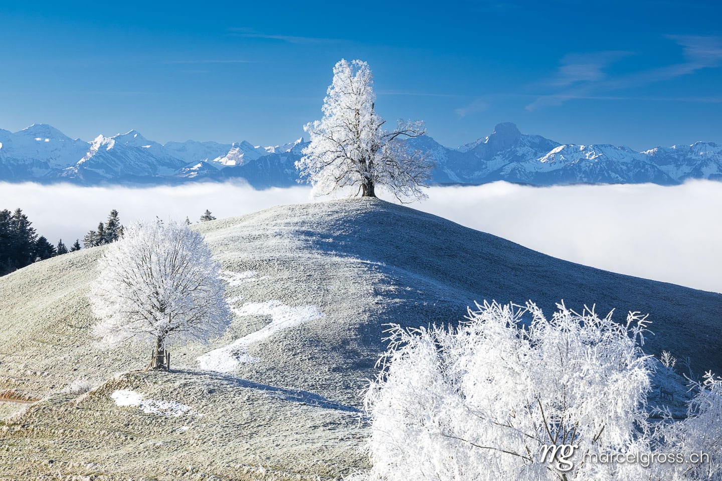Winter landscape in Switzerland. Marcel Gross Photography