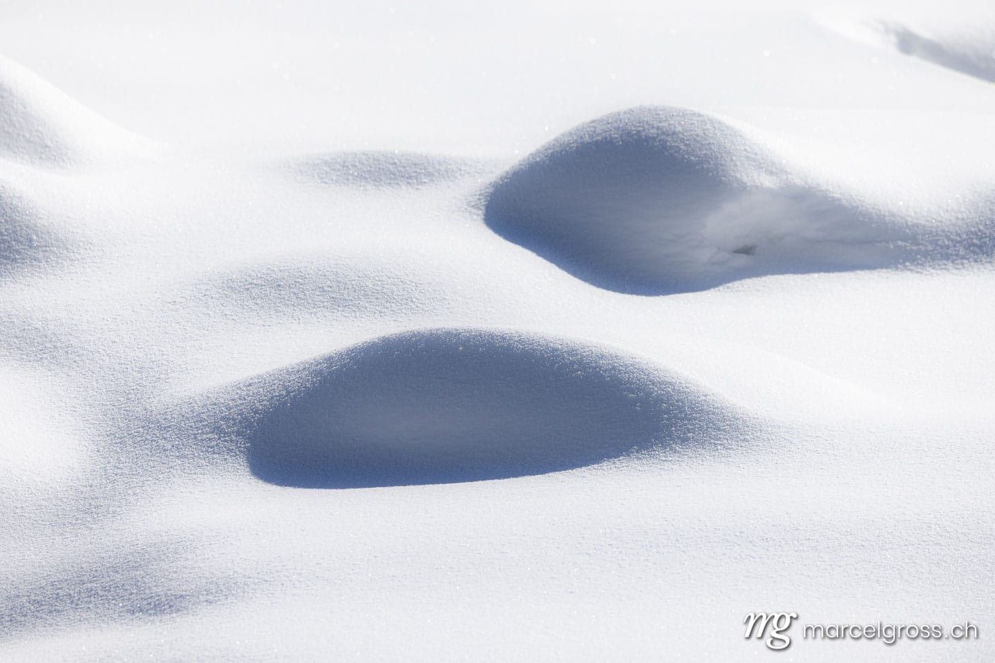 . . Marcel Gross Photography