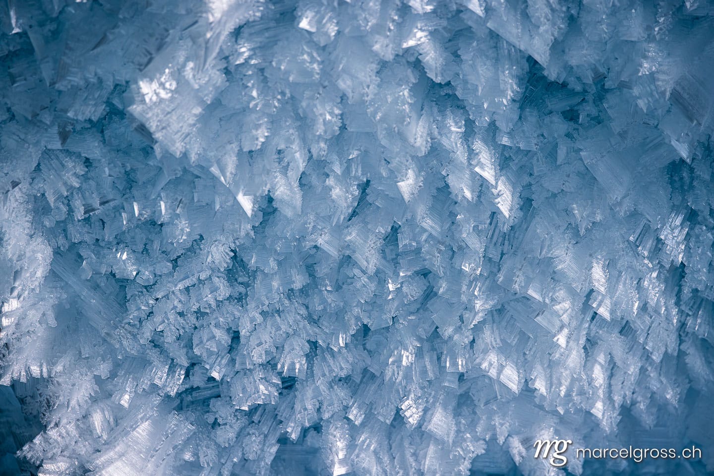 . . Marcel Gross Photography